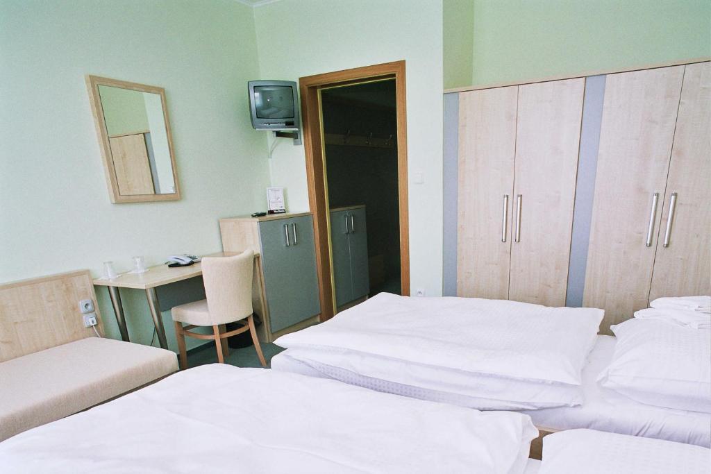 Buly Aréna Hotel 3*